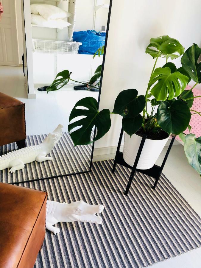 White Loft Аликанте Екстериор снимка